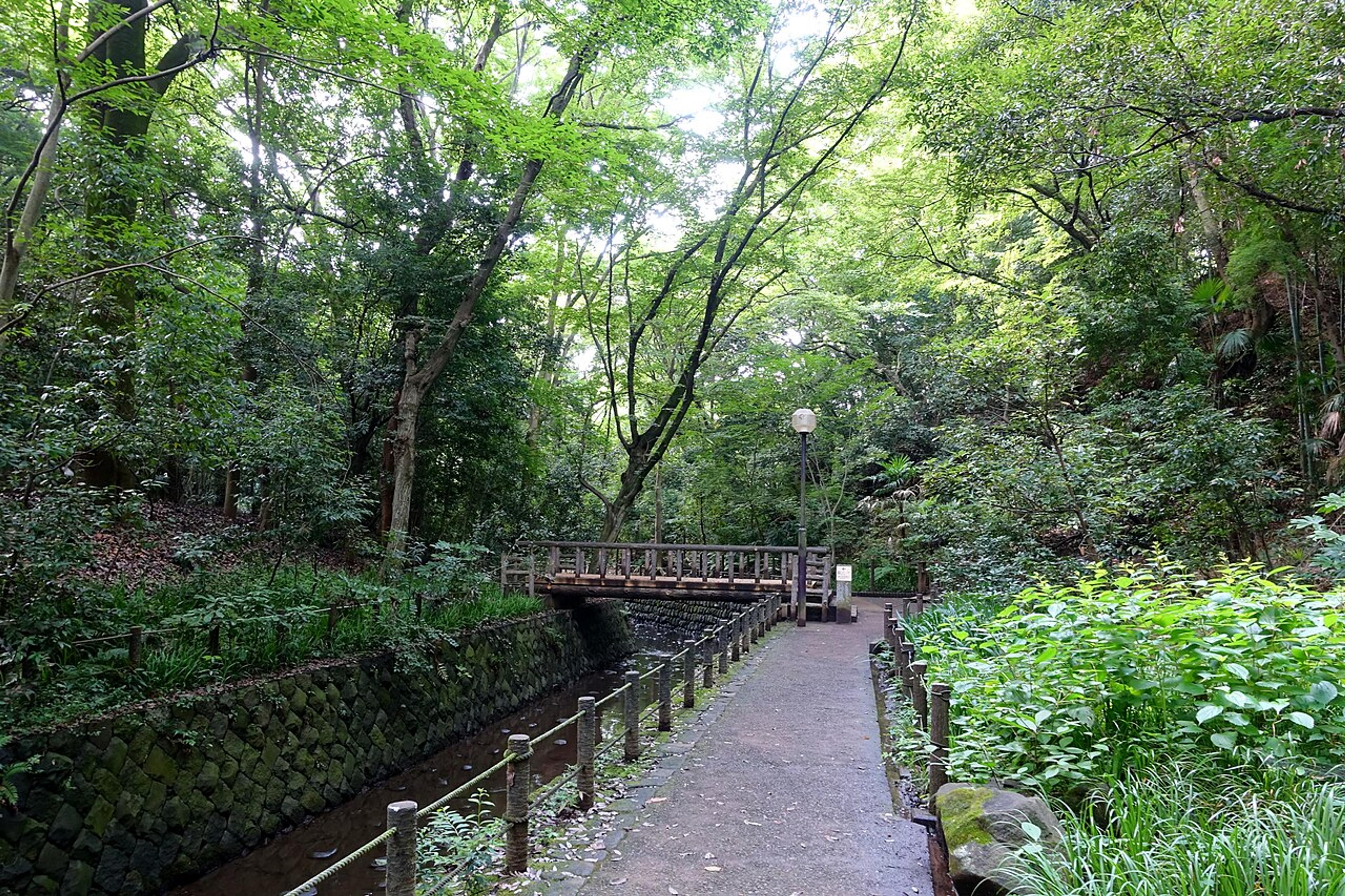 Hidden Tokyo Walking Routes