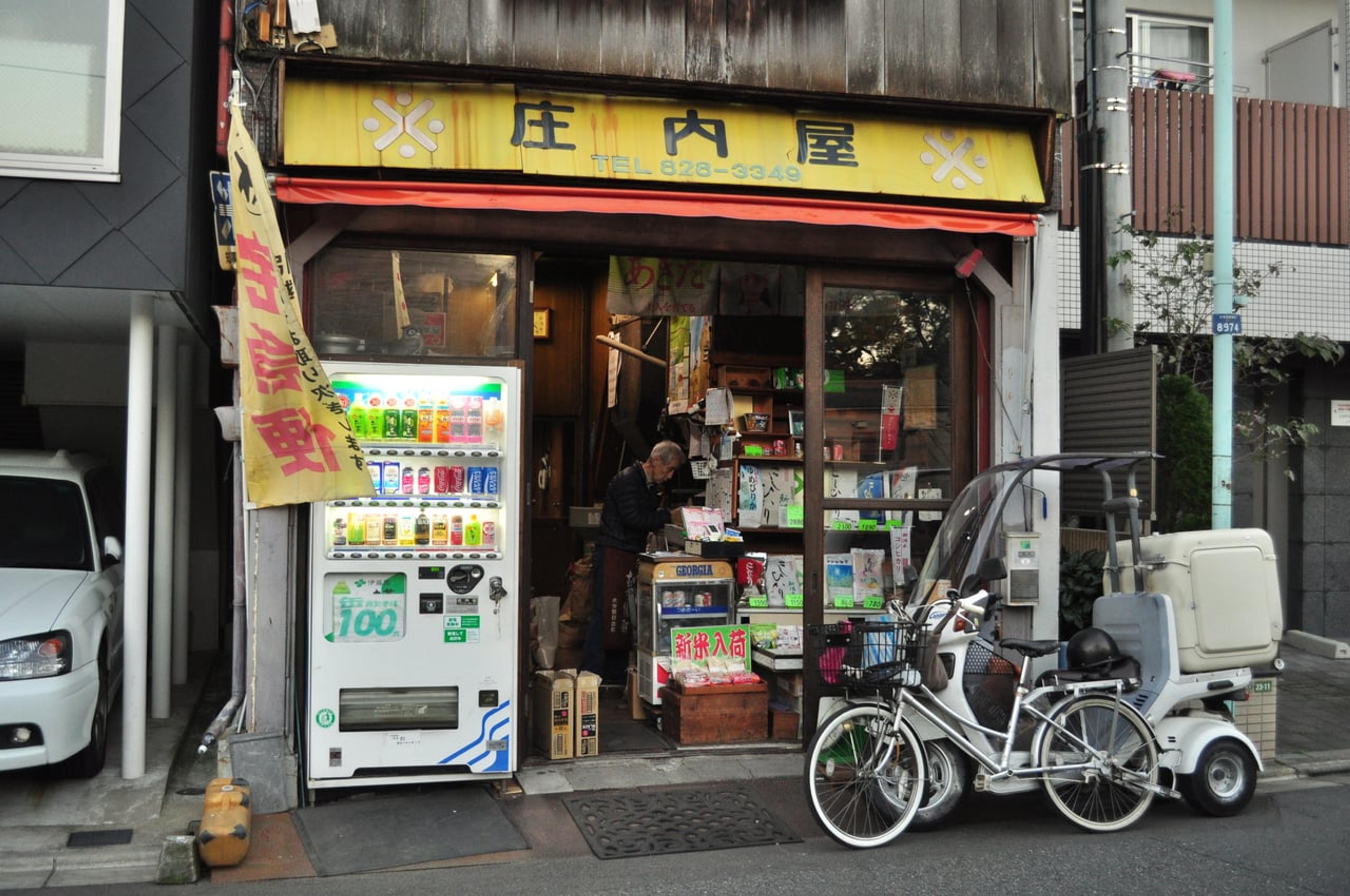 Hidden Gems of Kanto: Tokyo's Quieter Side and Beyond