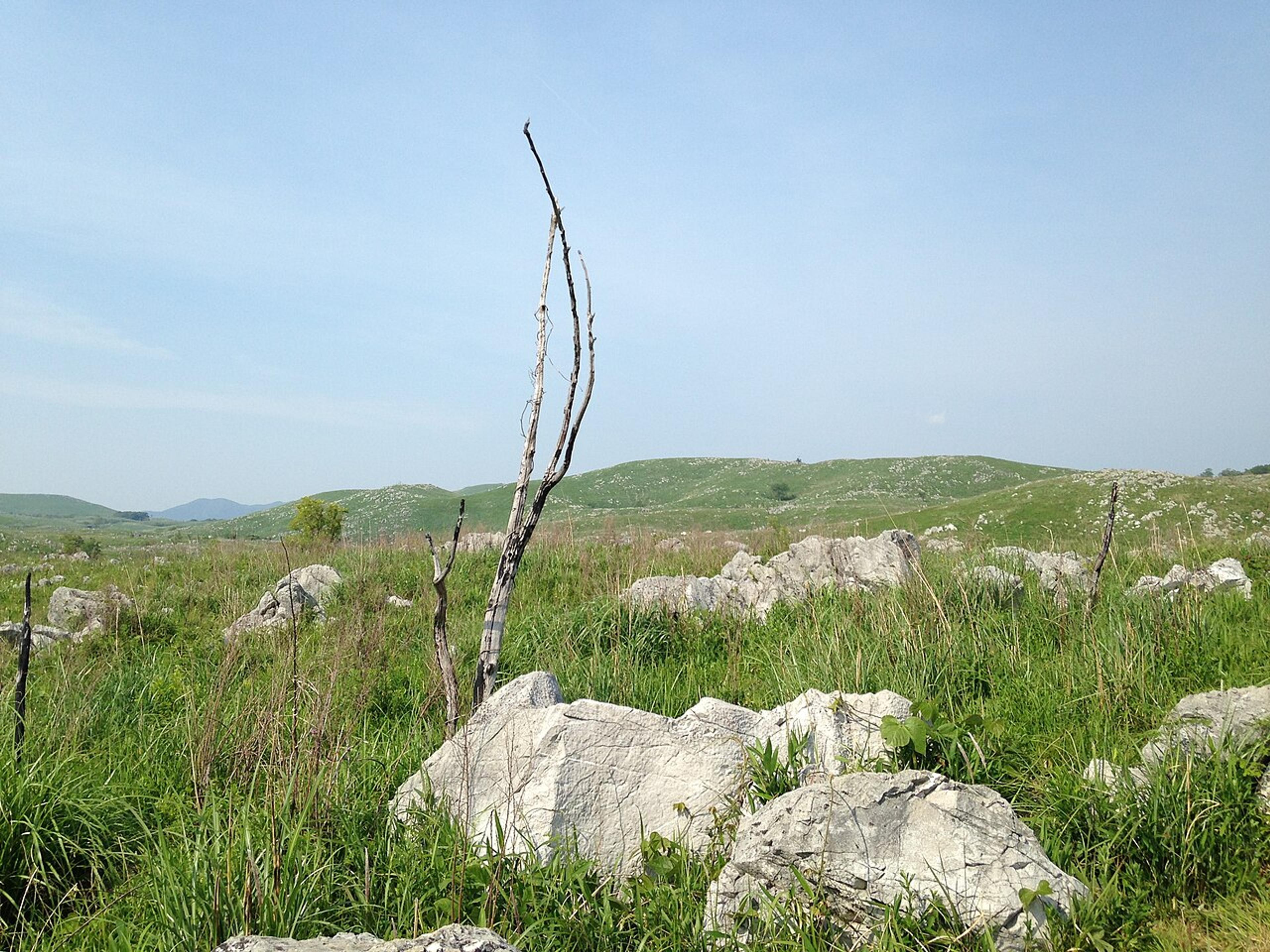 Yamaguchi: Karst, Caves, and Foxes