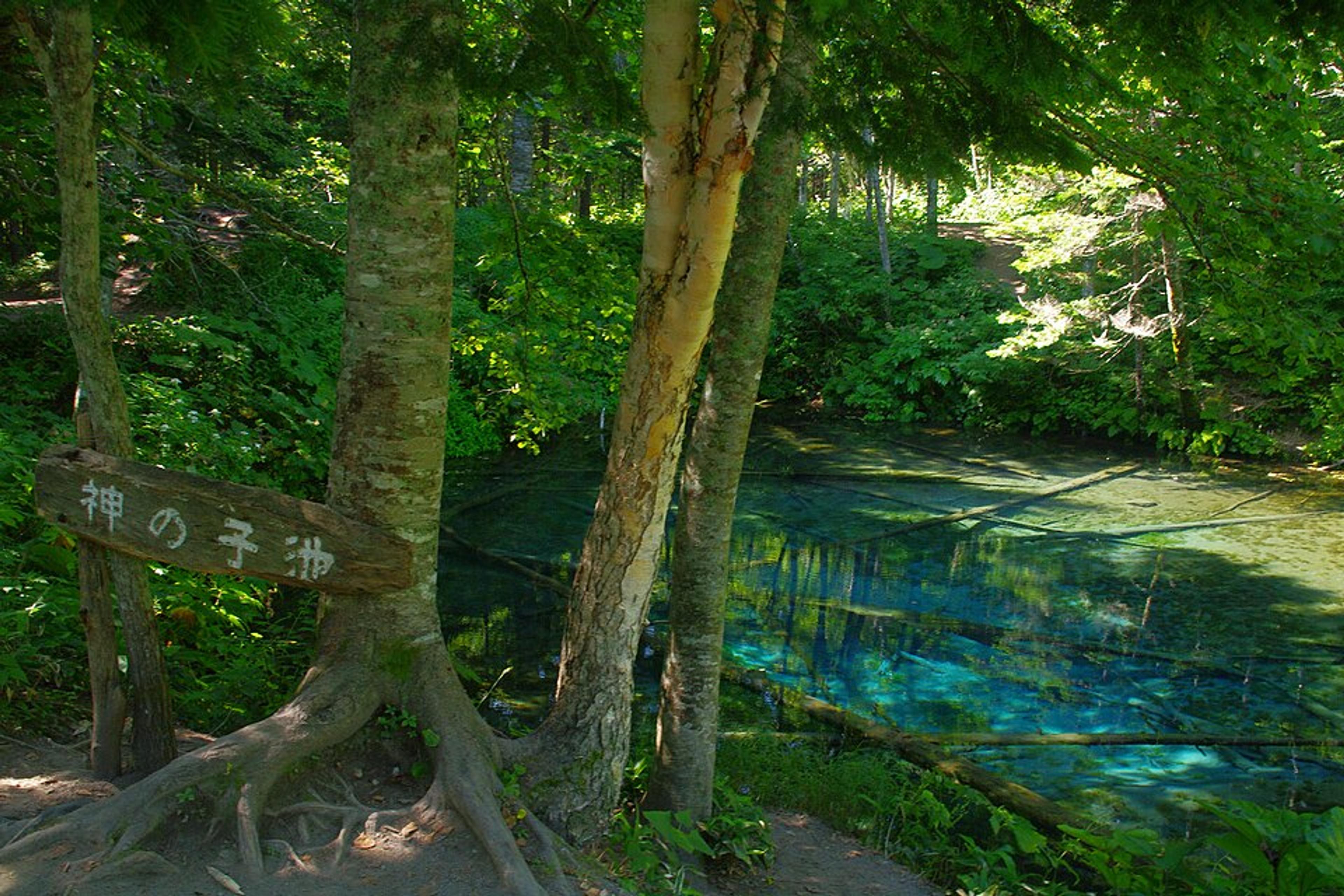 Hidden Gems of Hokkaido