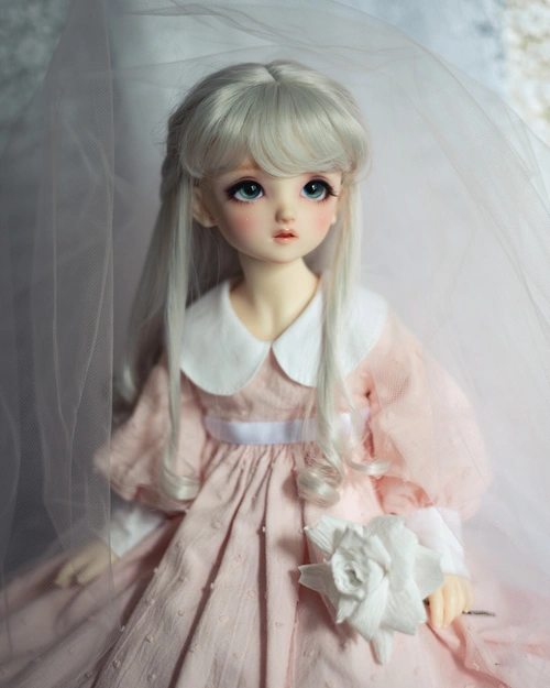 Three-quarter length portrait of a female ball-jointed doll in a light pink dress with a large white collar and a white ribbon belt, and big puffy sleeves. She has long silvery-white hair pulled back into a half-up style with a fringe, and a rather worried expression. She holds a large white paper rose.