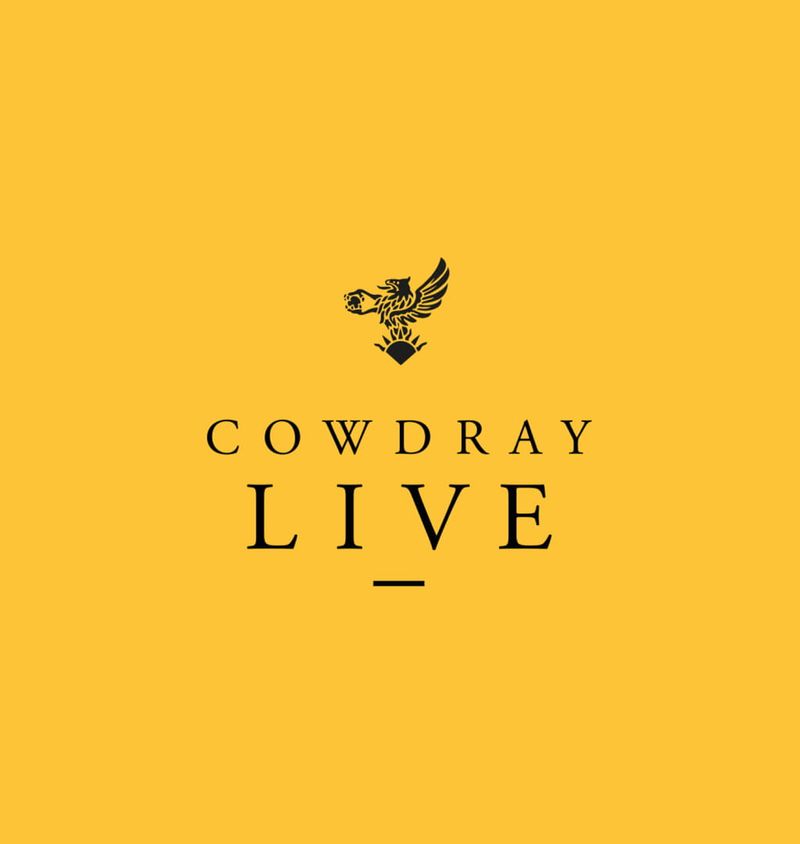 Brand identity design