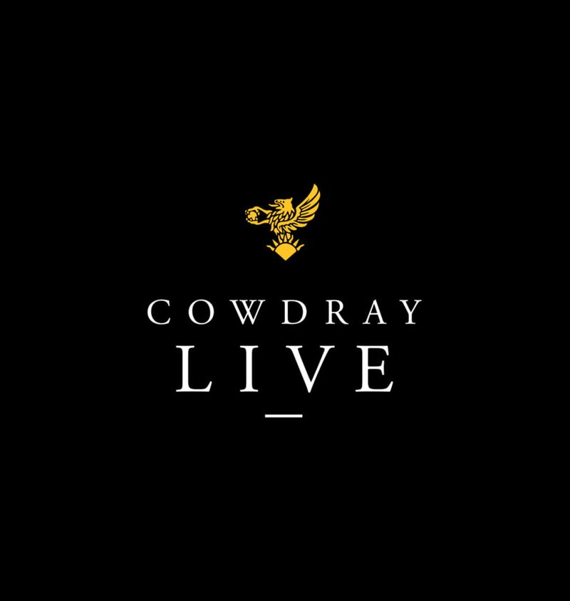 Brand identity design