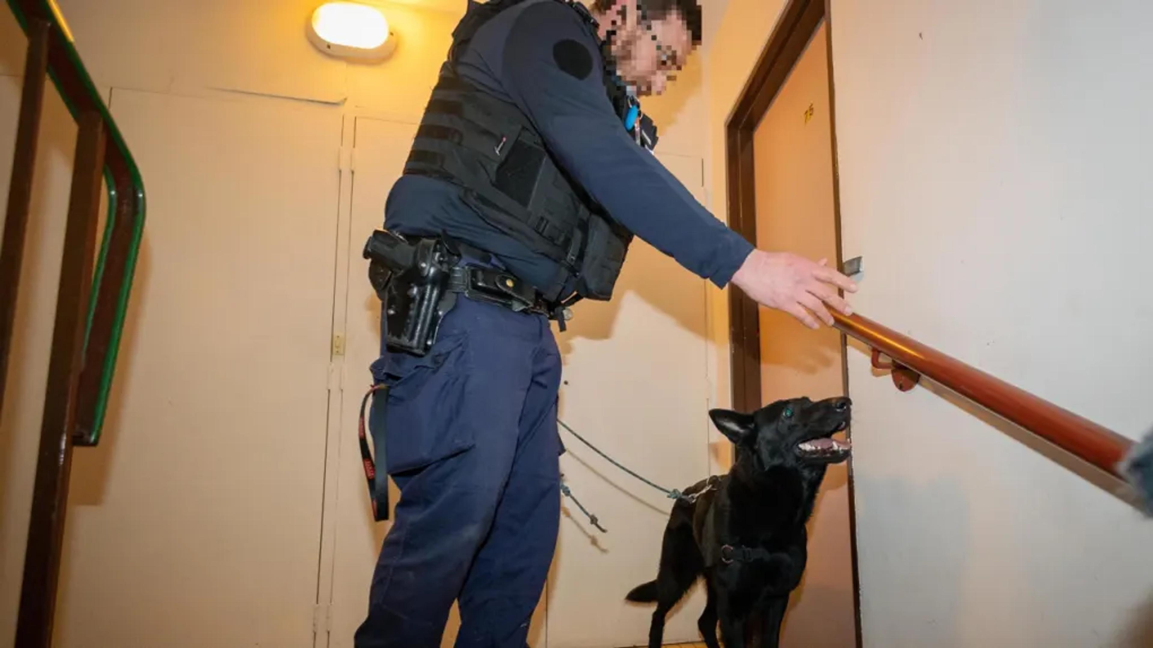 Article de La Nouvelle République du 20 décembre 2024