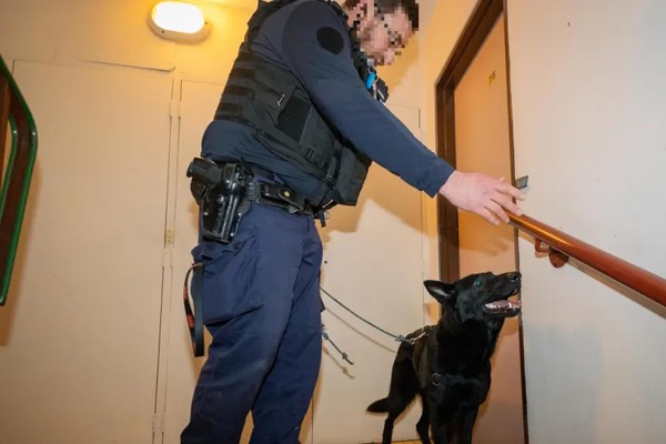 Article de La Nouvelle République du 20 décembre 2024