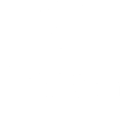 Vybn logo