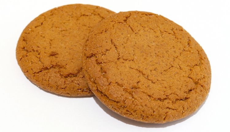 ginger nut ginger nut