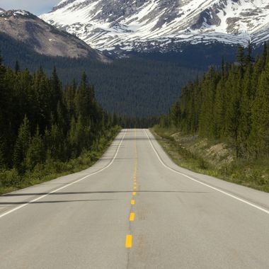 Our clients say we go The Distance Our clients say we go The Distance