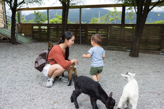 Mother and child at a mountain petting zoo with baby goats.