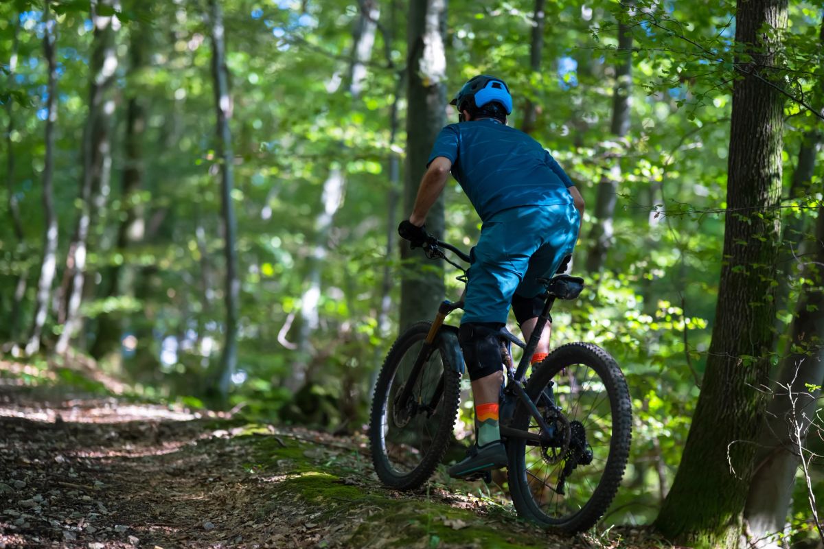 Man riding a mountain bike down a trail.
