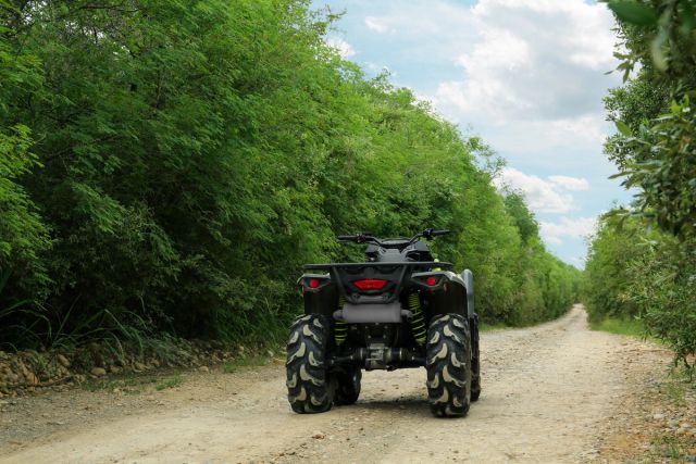 Black ATV parked between trees.