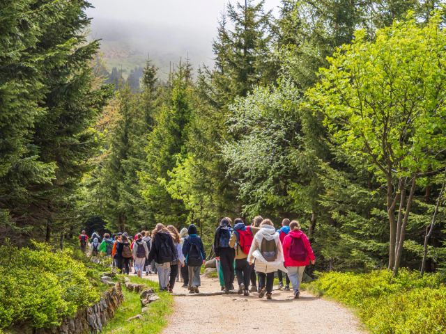 Group of people touring a mountain on foot.