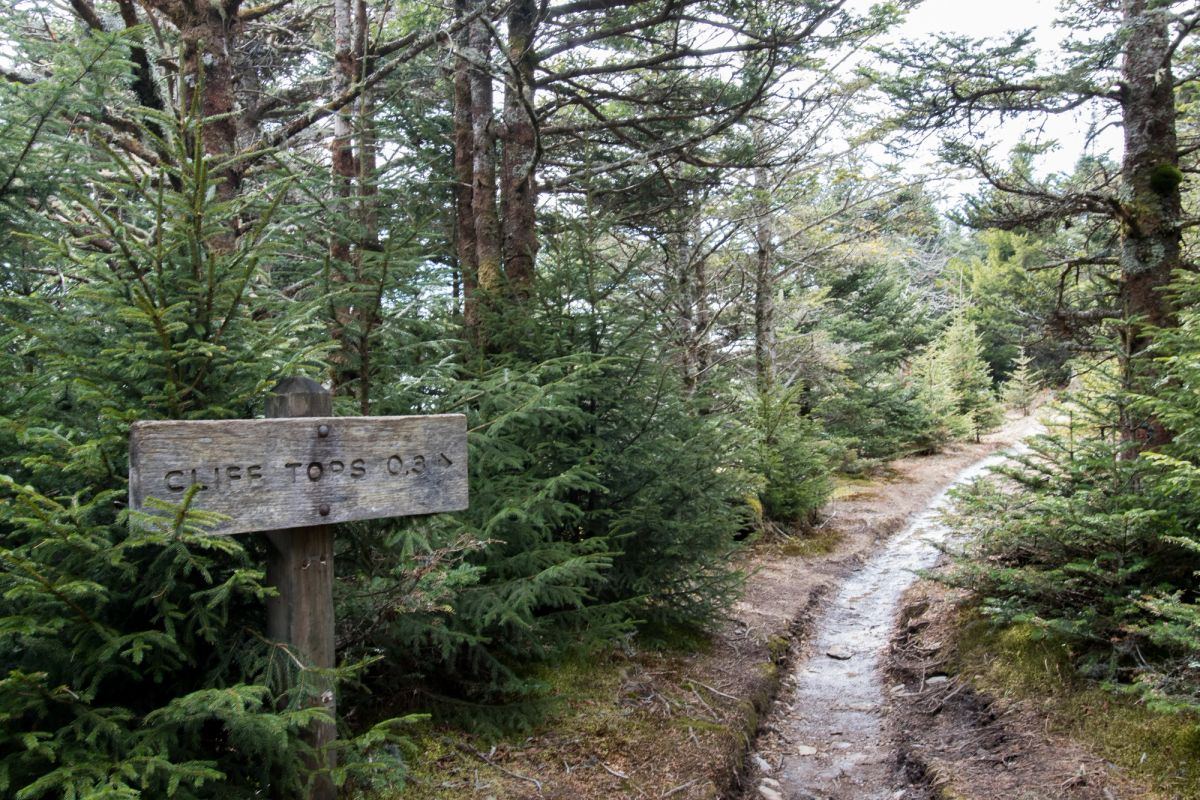 Sign pointing to Mount Leconte on a trail.