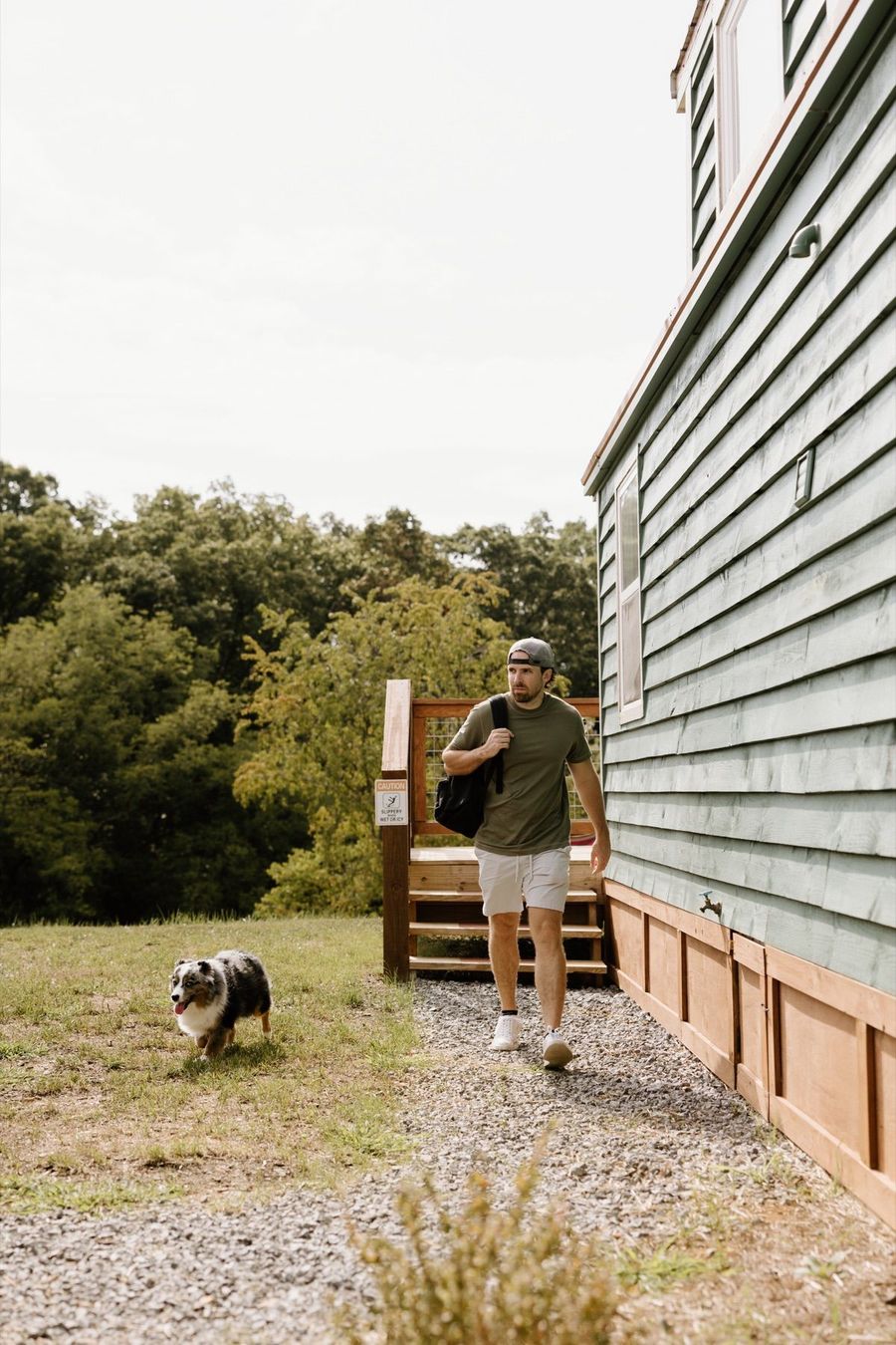 Dog exploring the open spaces at Sojourn Lodging