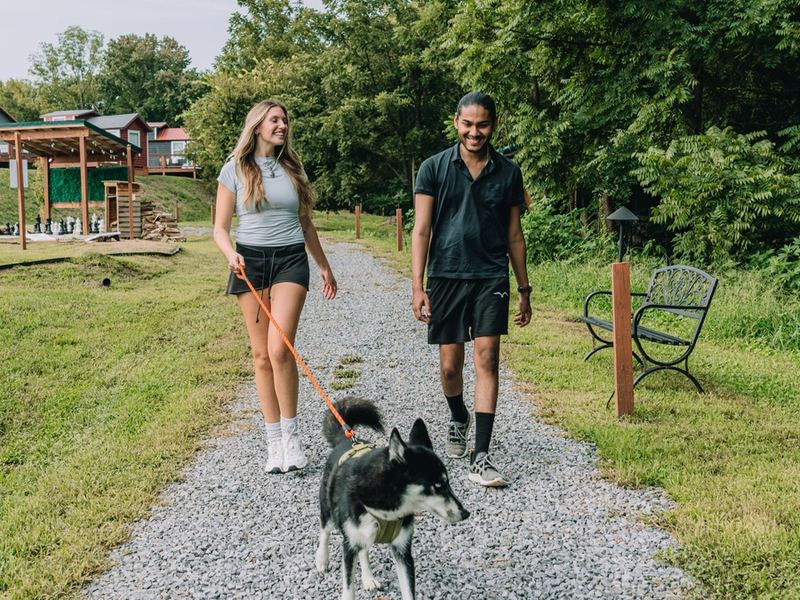 A couple walking their dog down the trail past a bench at Sojourn Lodging
