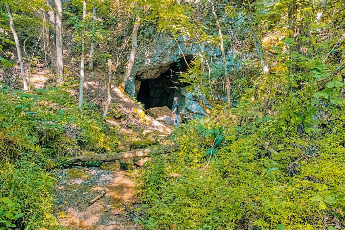 Lush forest trail leading to the cave entrance at Sojourn Lodging's grotto in East Tennessee