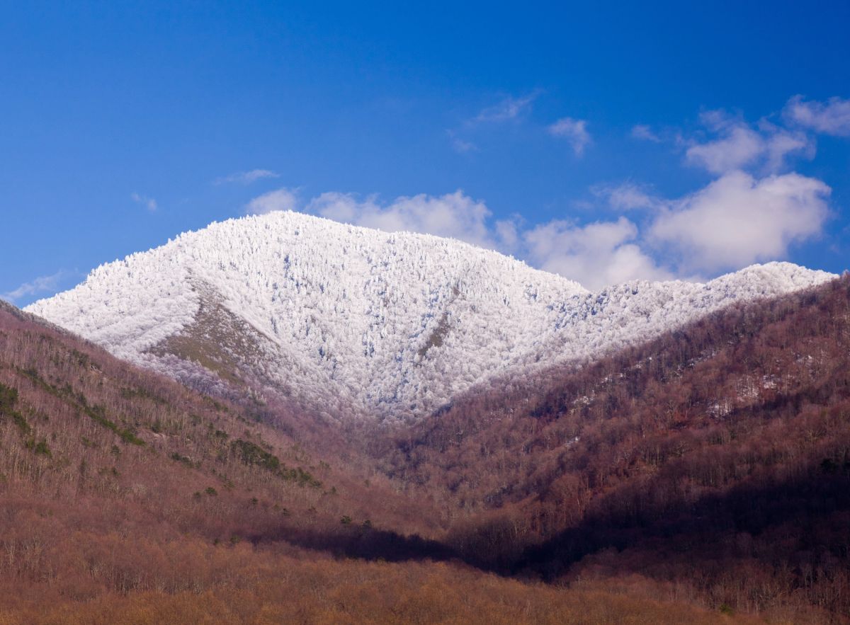 Mount LeConte in the Smokies covered in snow.