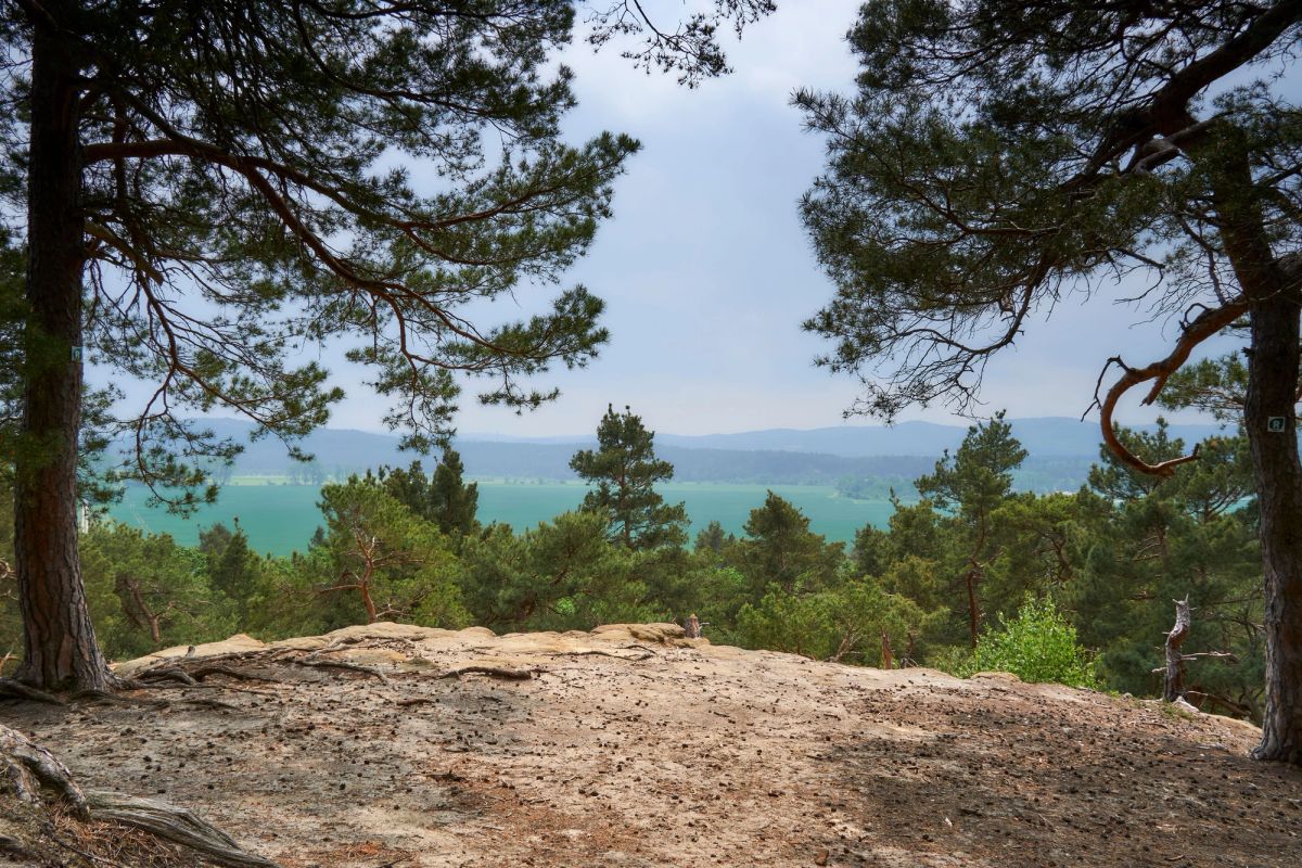 View from a cliff top in the Smokies.