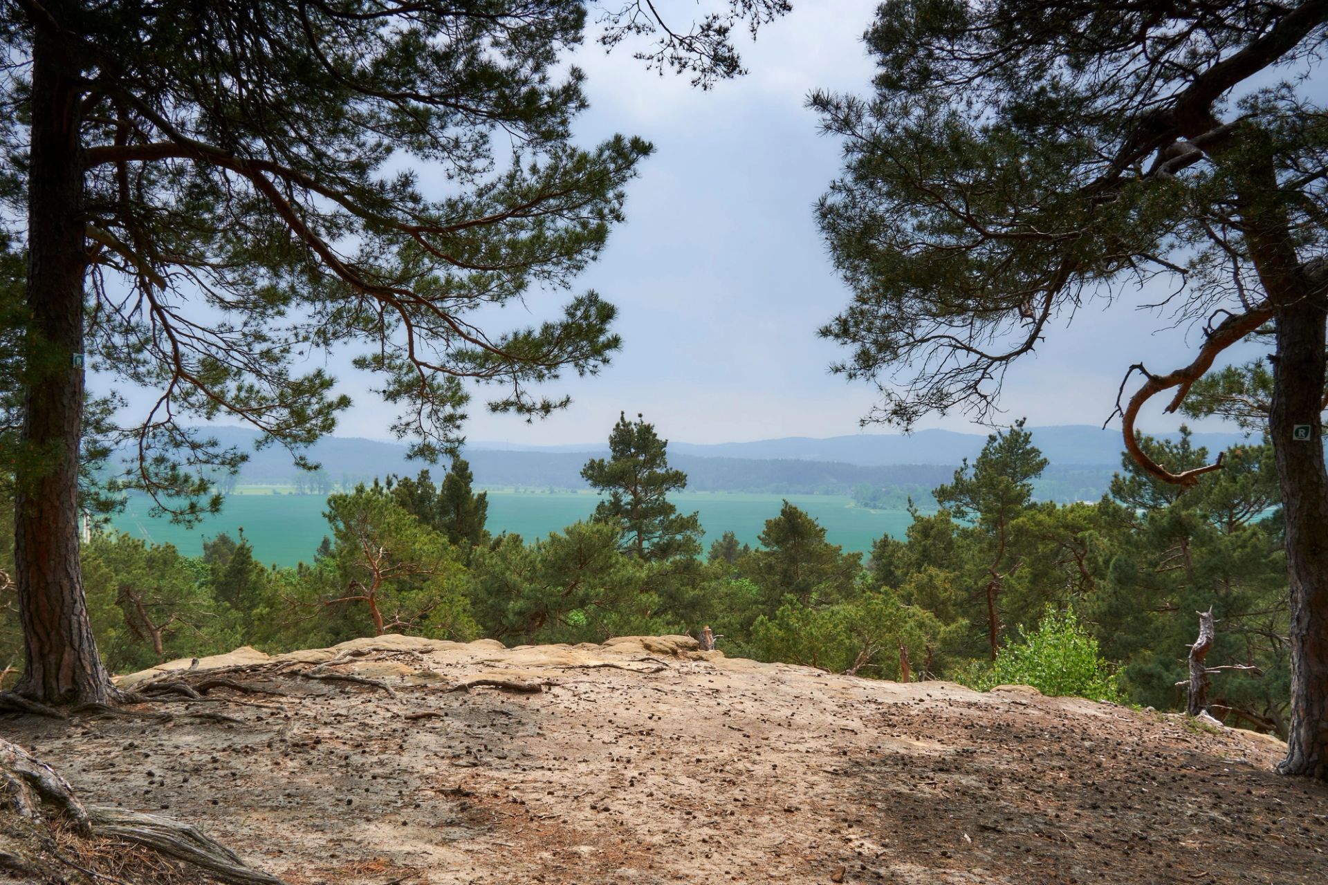 View from a cliff top in the Smokies.