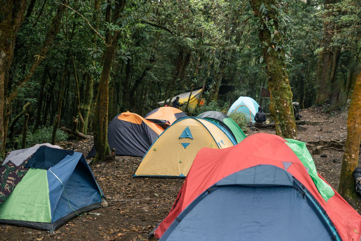 Multi-colored tents spread across a campsite. 