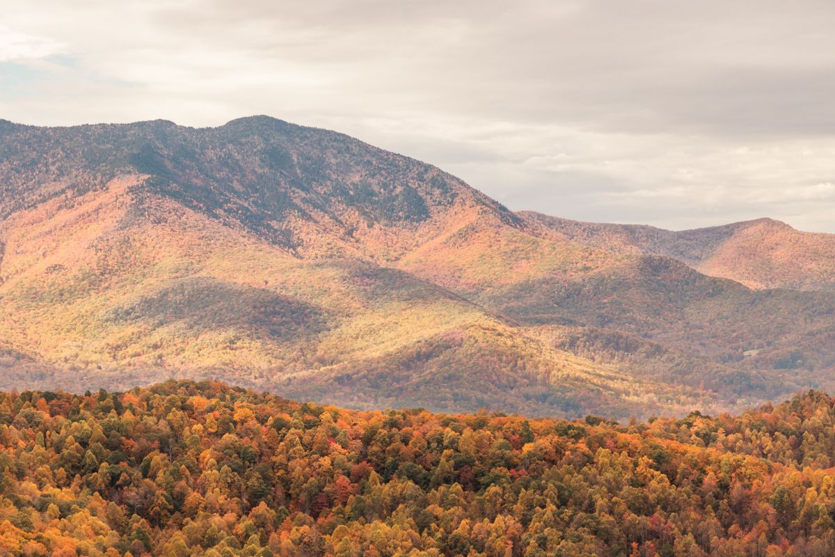 Far away shot of the Smokies during fall with fall foliage below.
