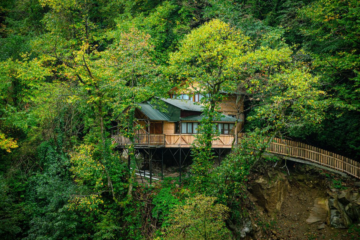 Wide shot of a treehouse cabin covered in trees.
