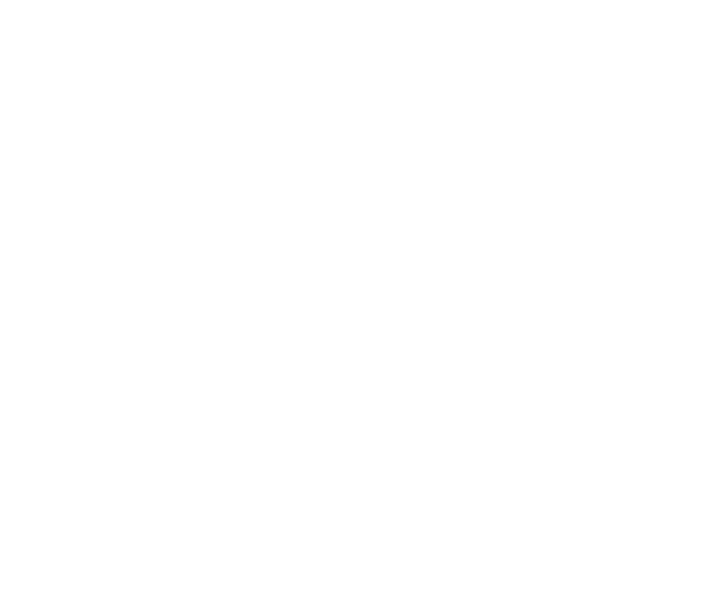 pip logo
