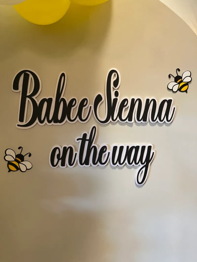 Baby On the Way Sign