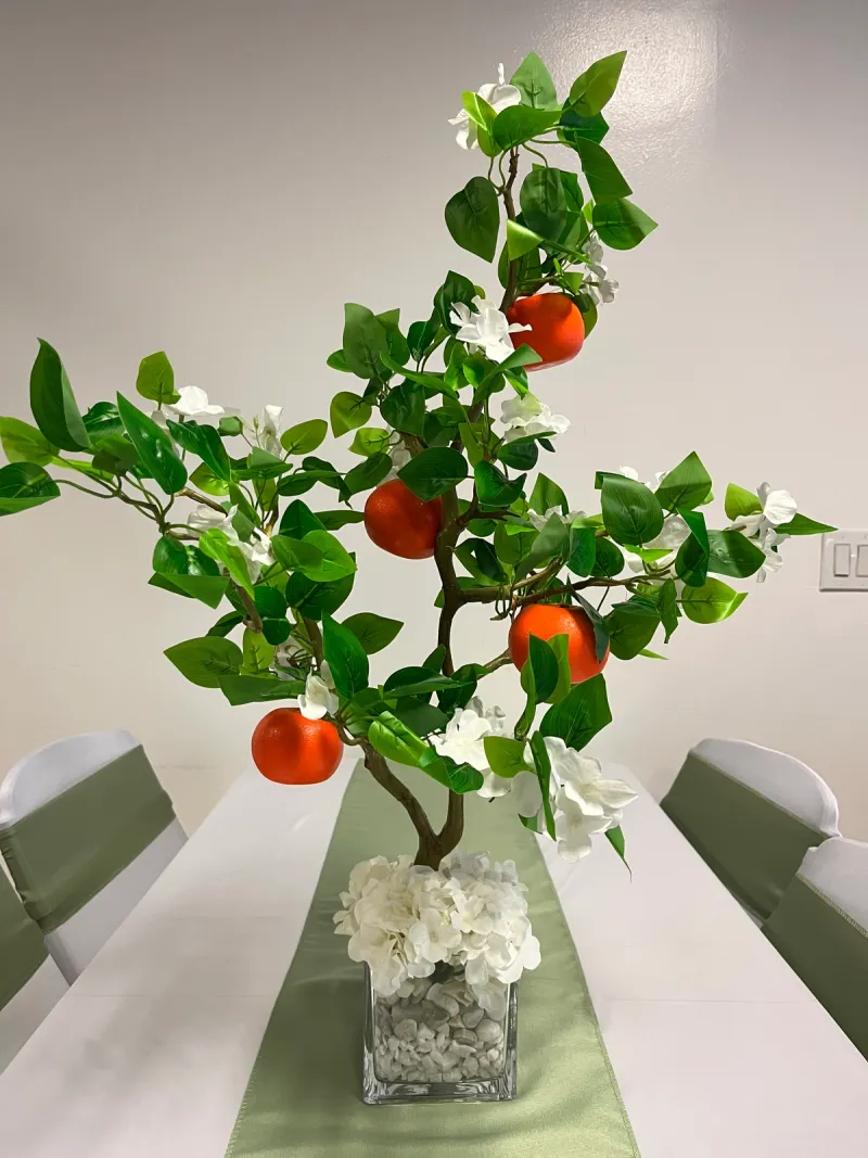 Two Little Cuties Plant