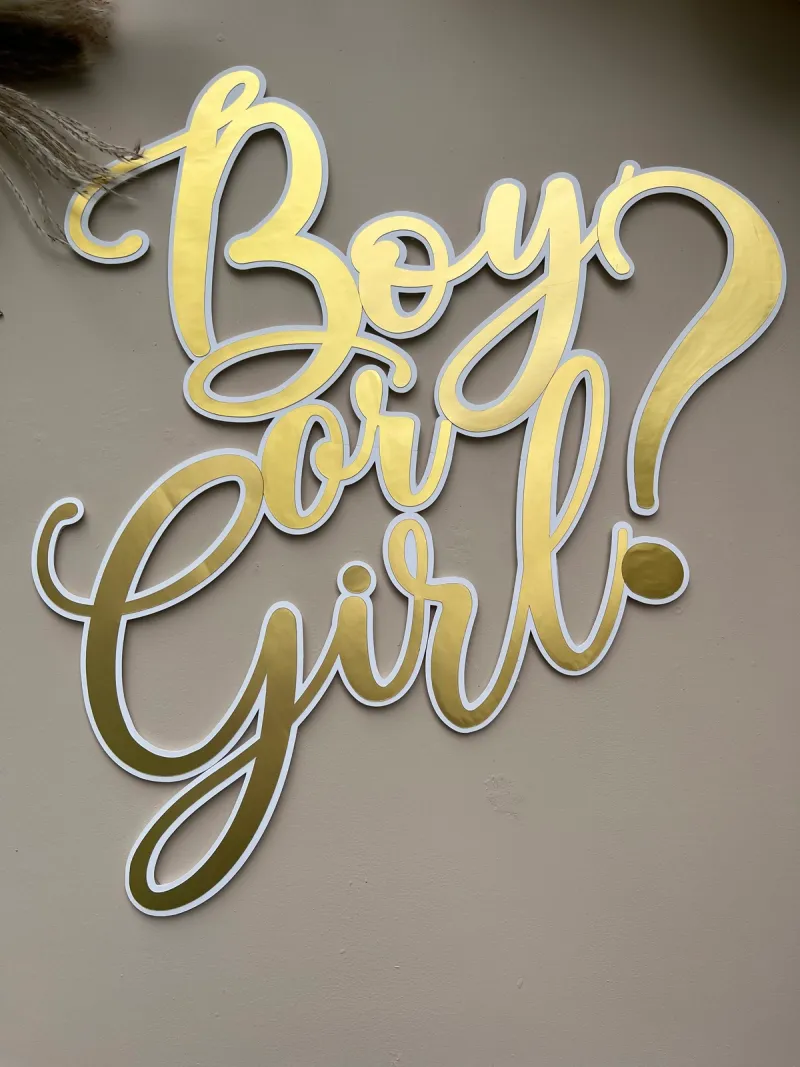 Unknown Gender Reveal Sign