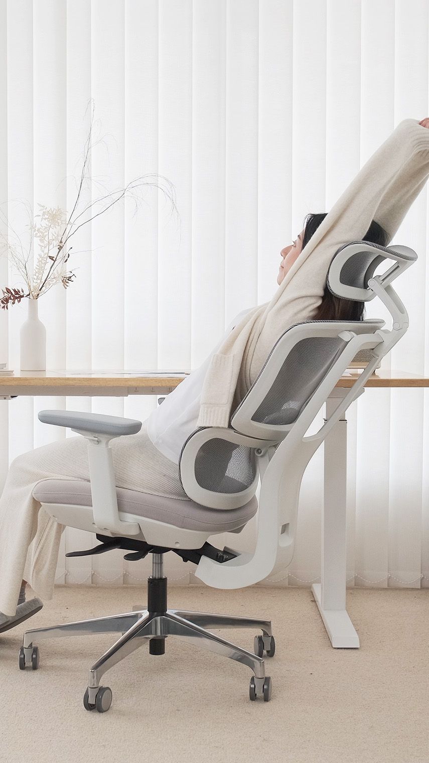 【美品】THE ERGORISM PRO 多機能ワークチェア 公式】THE ERGORISM PRO - Ergofinite by CASEFINITE