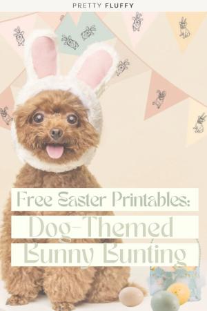 Easter Dog Photoshoot: 'Dog Bunny' Bunting