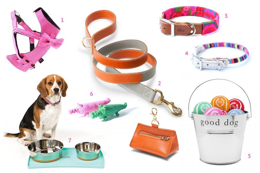 Trends: Brights