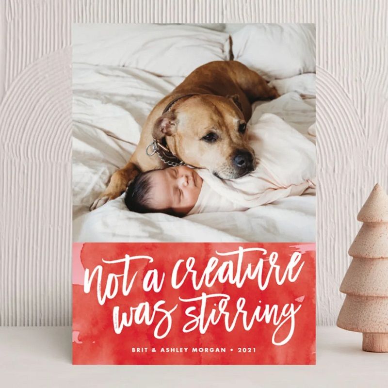 10 of the BEST Christmas Cards for Pet Lovers