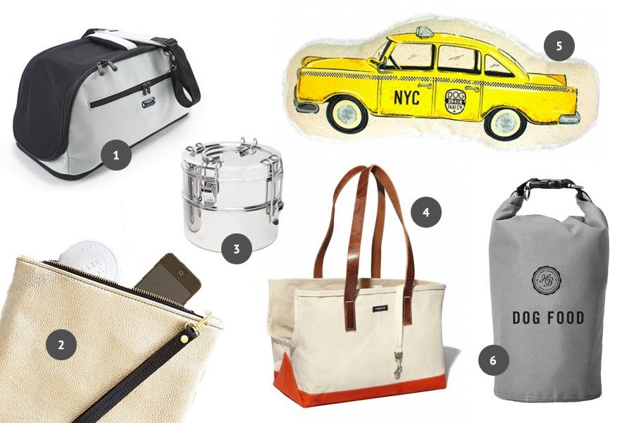 Trends for Traveling with Dogs