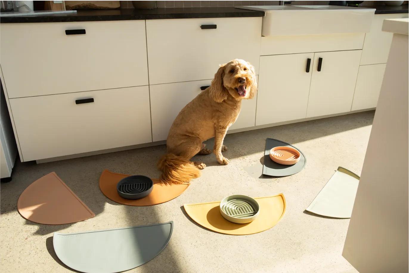 9 Slow Feeders for Dogs Who Eat Too Fast