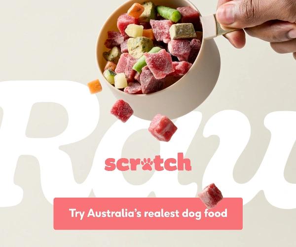 Try Australia's realest dog food — raw dog food by Scratch