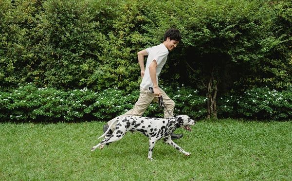 Dog Product Reviews