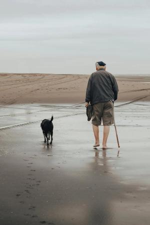 Best Dogs for Seniors