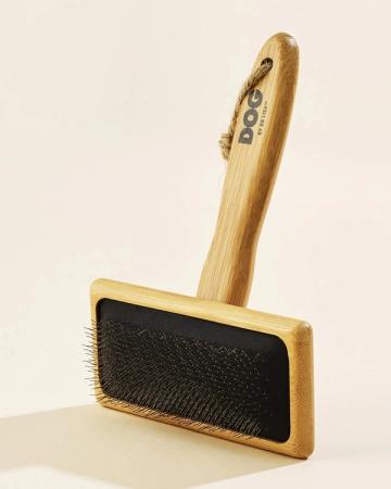 Best Dog Brushes