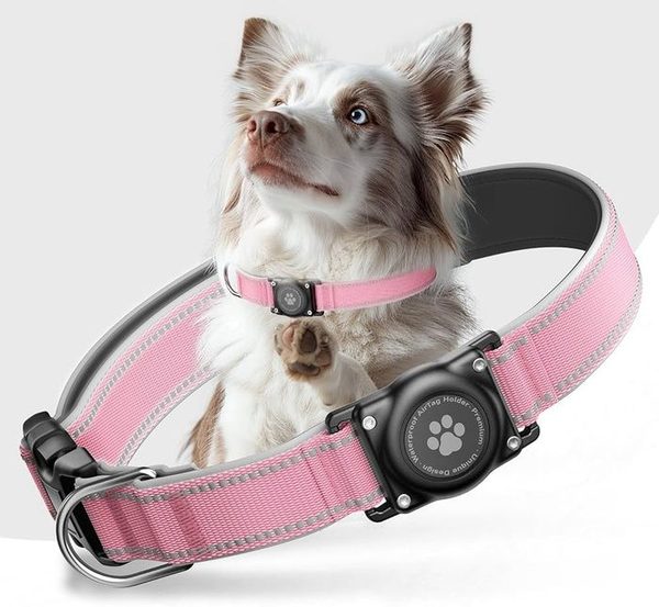 Furrigo cork leather AirTag dog collar