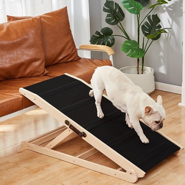 14 Best Dog Ramps for Cars, Couches, and Stairs