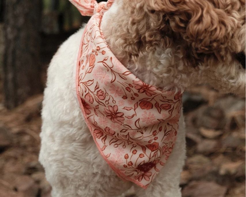 Top 12 Dog Bandanas for Cool Canines