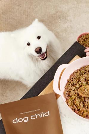 Dog Food & Treats