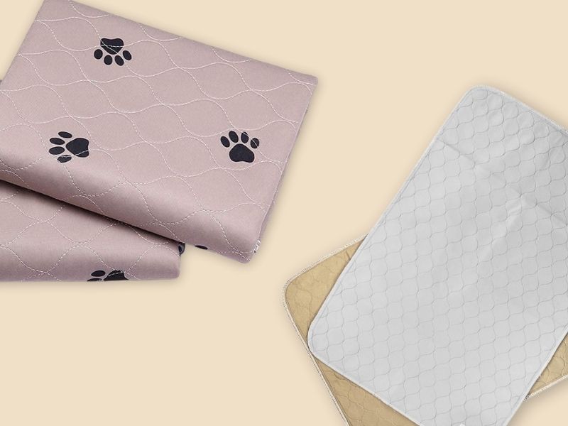 Best Washable Pee Pads for Dogs