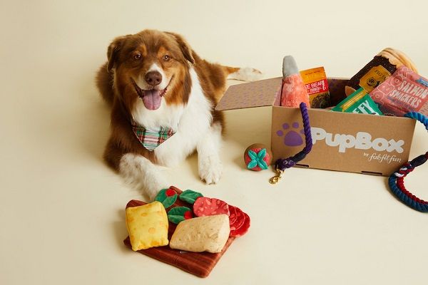 The Best Dog Subscription Boxes
