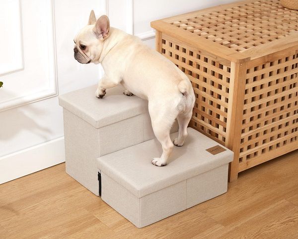 8 Best Dog Stairs & Steps