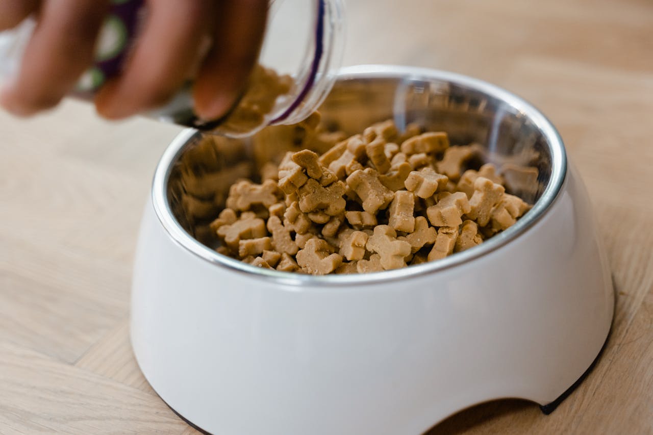 Best Dog Treats: Complete Shopping Guide for Healthy & Tasty Rewards
