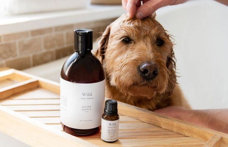 The Organic Pet Co.