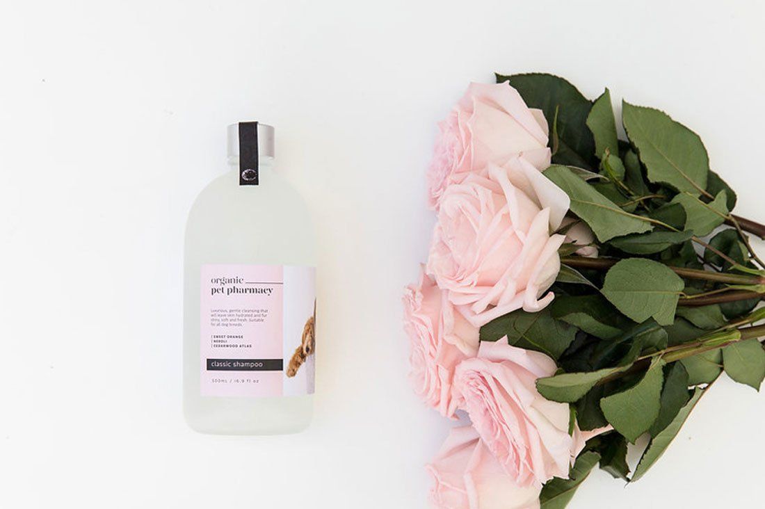 Our Favourite Dog Shampoos for Sensitive Skin